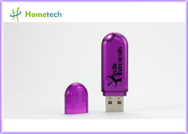 Aperçu gratuit en plastique bon marché du lecteur 4gb d'instantané d'USB